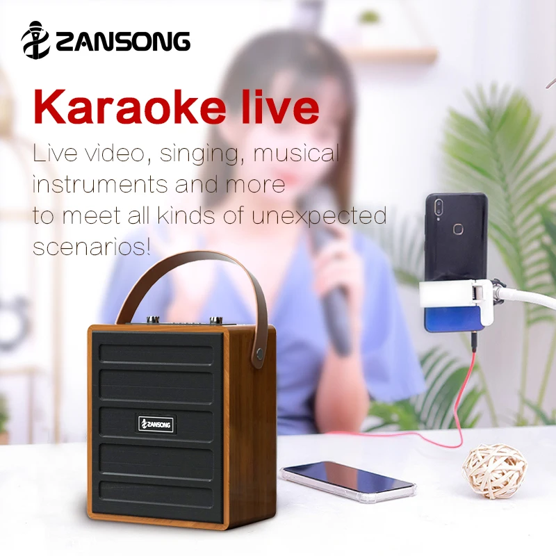 Zansong New Model 6.5-inch  BT Speaker S89  Portable Speaker, wooden player