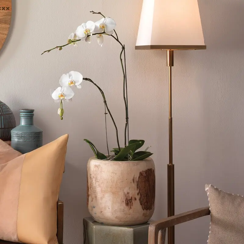 Wholesale  Flower Pots Wooden Planter pot  For Home Garden Decorative