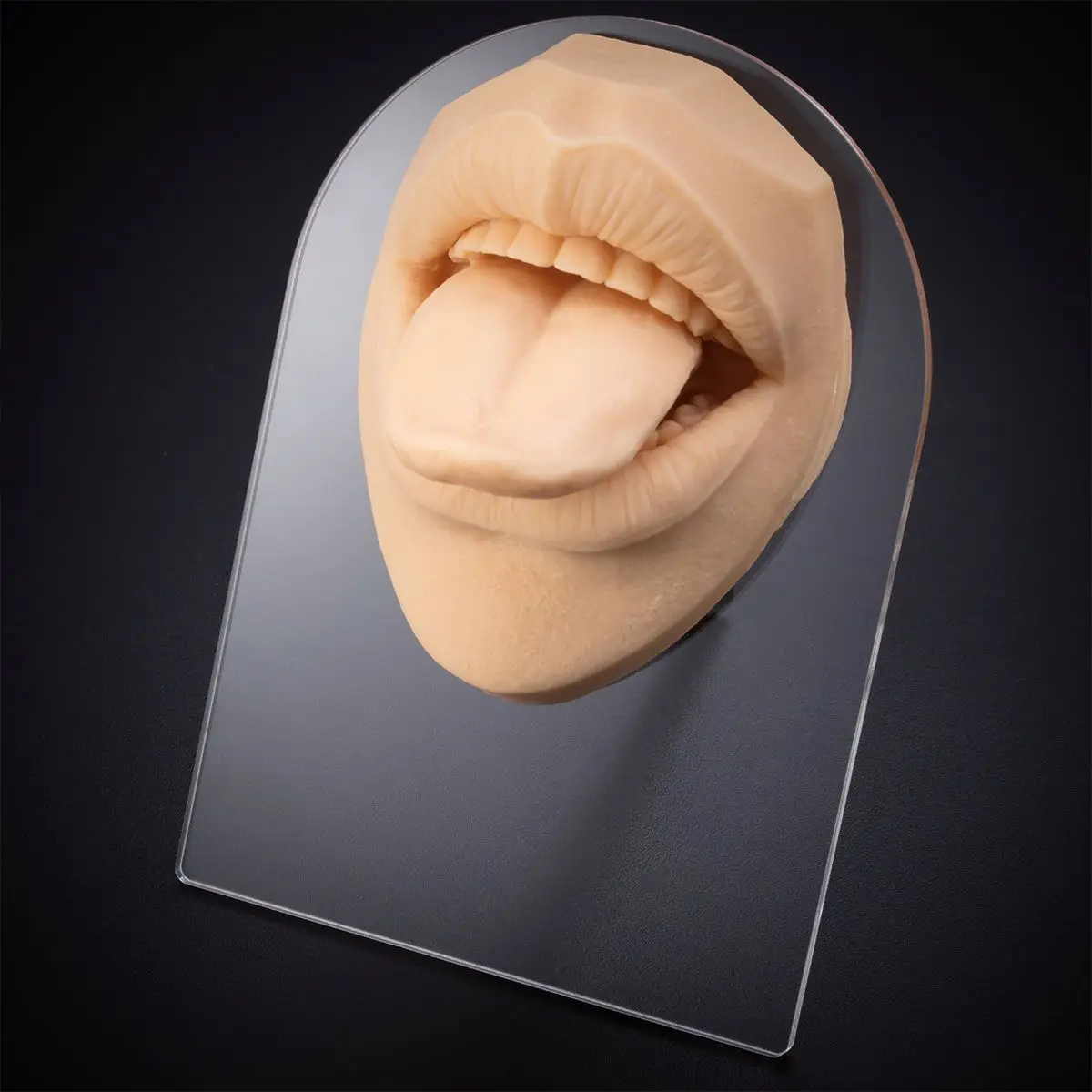 Tongue silicone body silicone model with open mouth is used for practicing or displaying tongue studs and lip studs