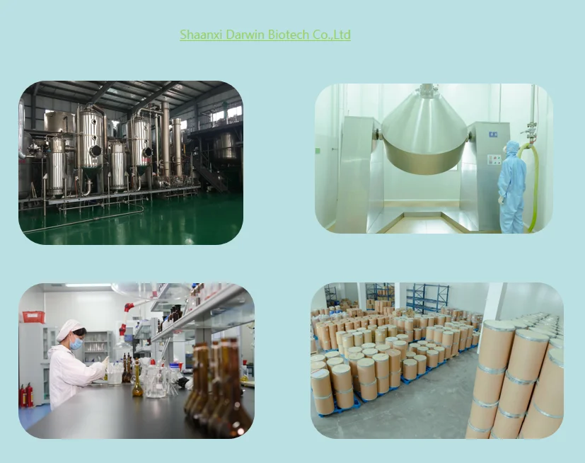 Factory Supplier Artemisia Annua Extract Powder