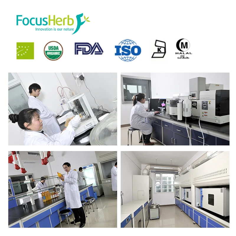 
High Quality Pyrroloquinoline Quinone Powder PQQ 