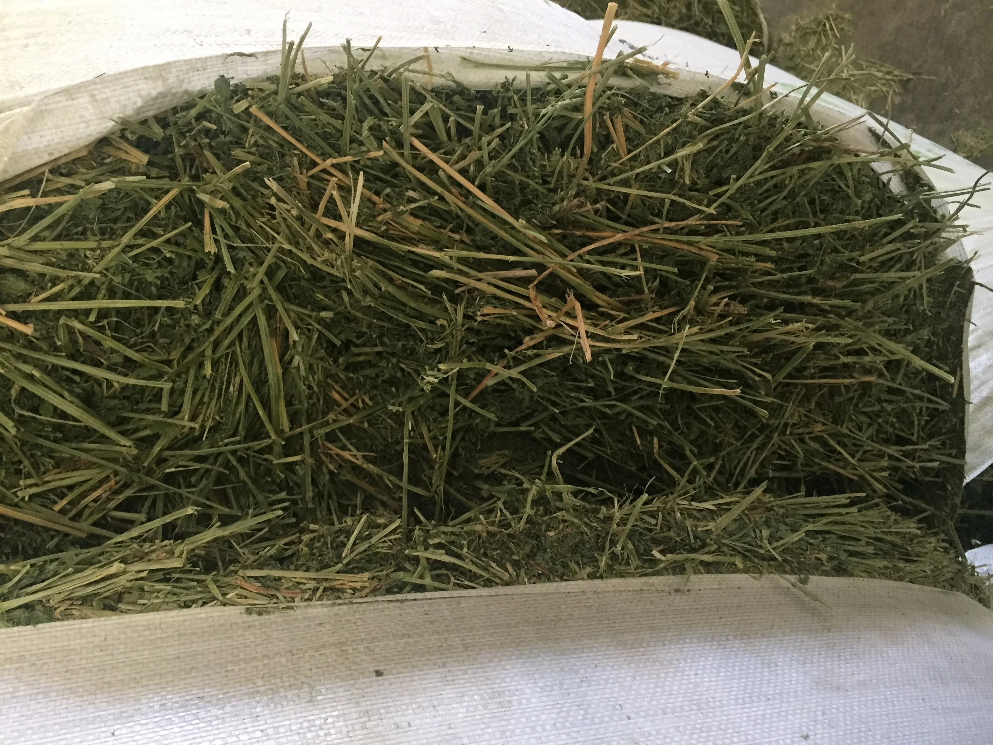  T&H high quality alfalfa