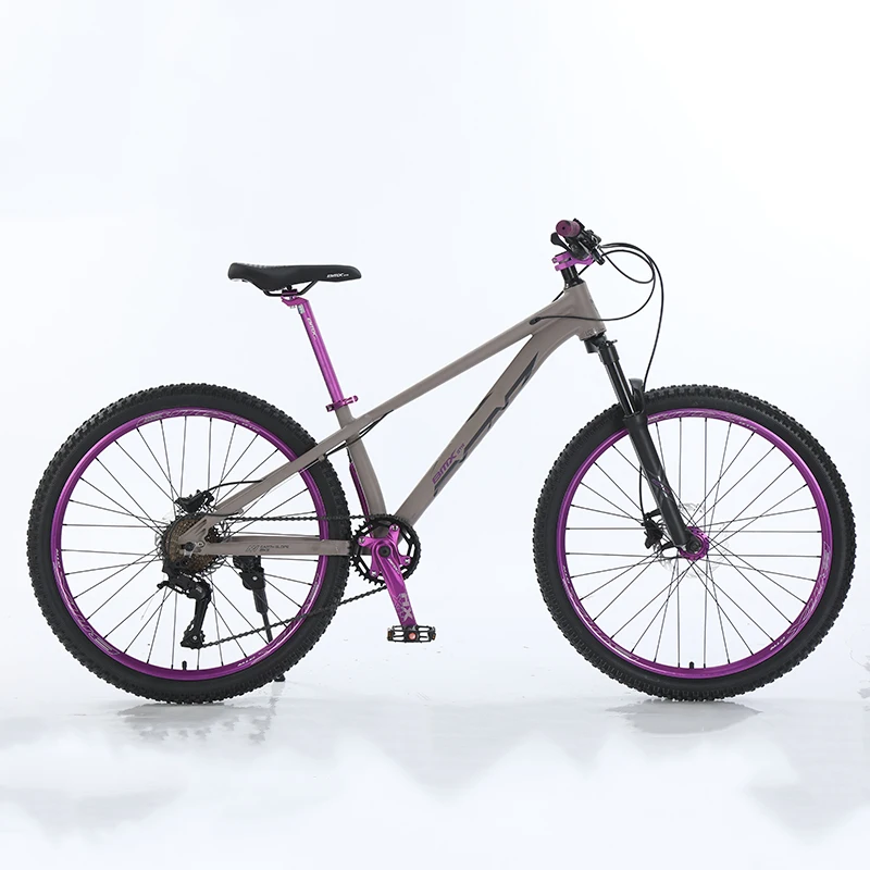 Aluminium Alloy 2.35 Black Tire 26 inch New Color Design Bicicleta Adult Trek Mountain Bike BMX Bicycle for Heavy Ersin