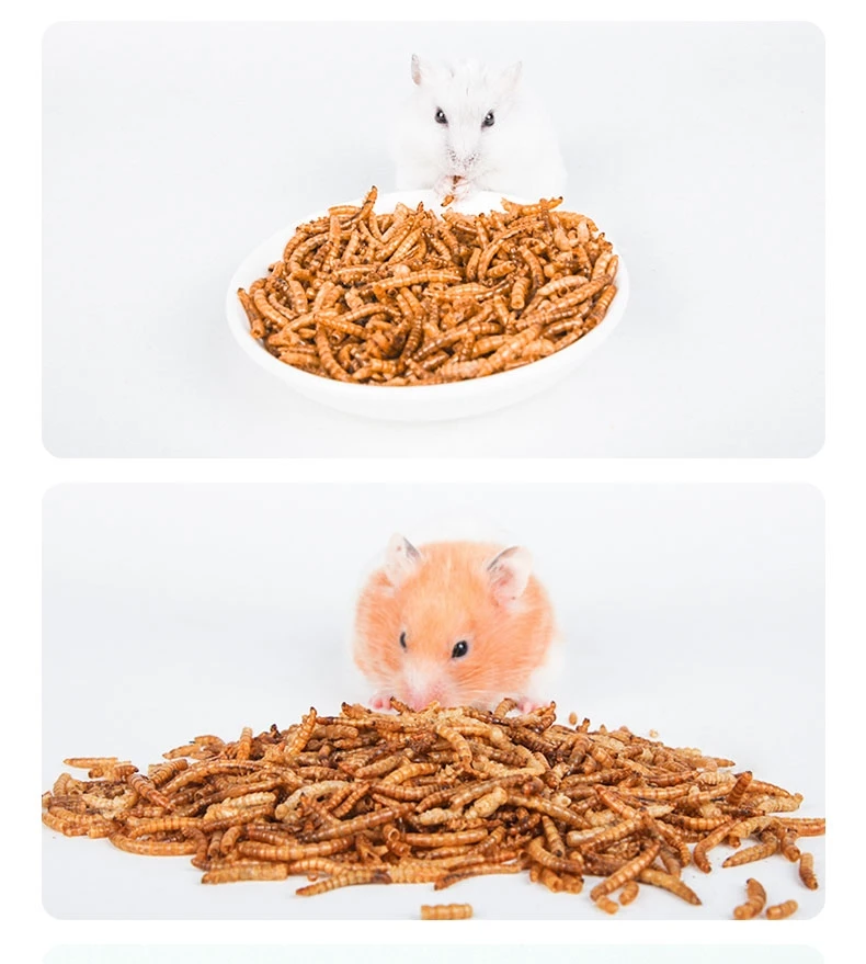 Pet food- Mealworms