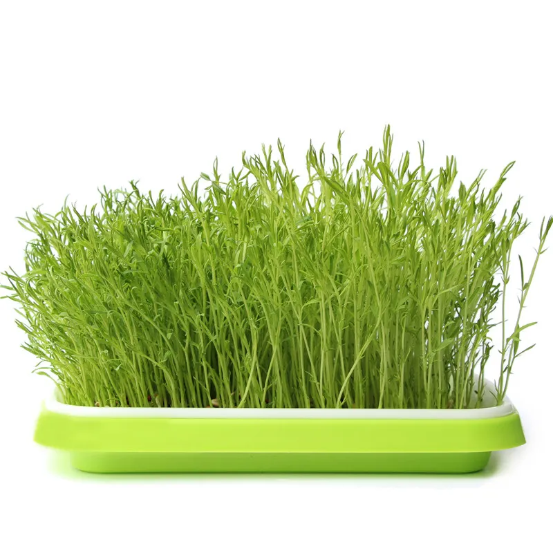 Sprouting Tray  Hydroponic Planting  Seedling Soilless Cultivation Germination Tray