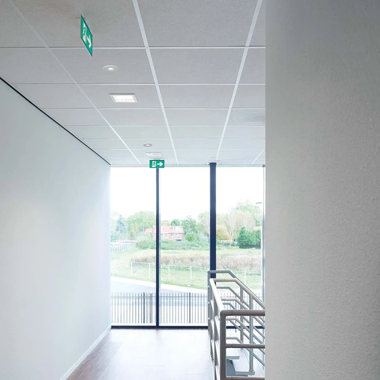 High Brightness 6500k 3 Years Warranty 2 Cob Chips Indoor Using Spring Buckle Installation Type Led Emergency Light