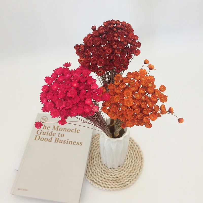 Natural Dried Daisy Star Flower Wild Mini Flower Cheap Dried Flowers Home Decoration