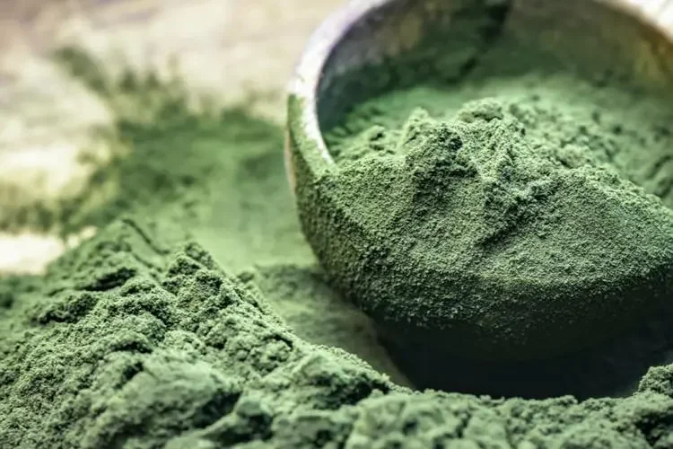 Wholesale a high-quality green nutrient source food nutrition additive providing high content of protein Chlorella powder