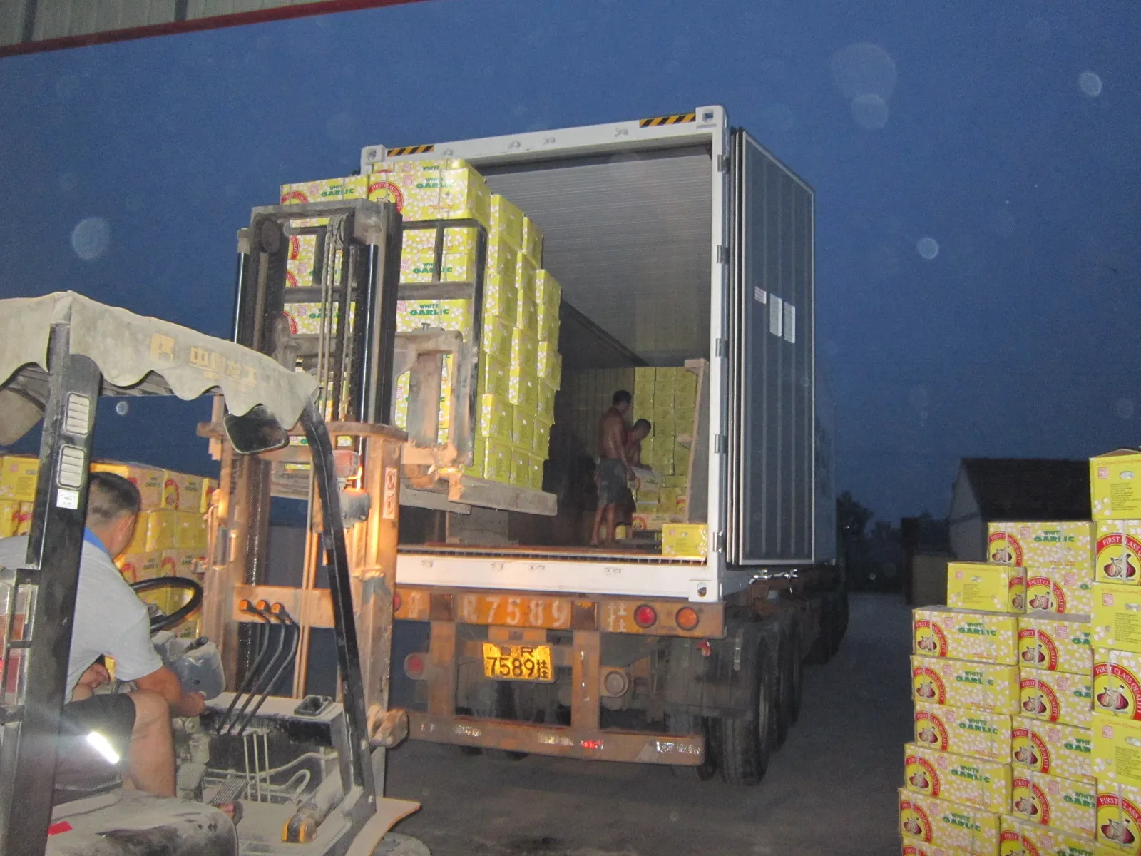 hot sale 80-150g Ginger wholesale for export with best quality & cheap price high quality fresh ginger with Global Gap & Haccp