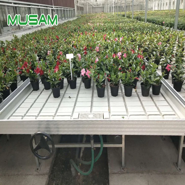 Гидропонная система 4x8ft ebb и потоковые пластиковые лотки