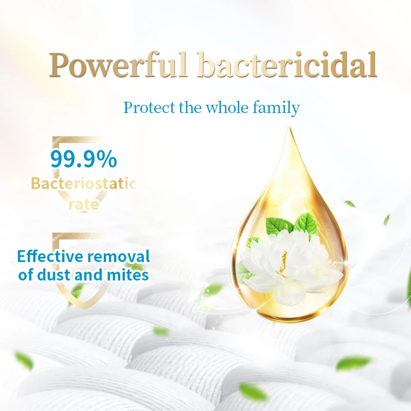 Private Label 2KG Germ Free  laundry detergent OEM Household Cleaning products high-quality liquid  laundry detergent