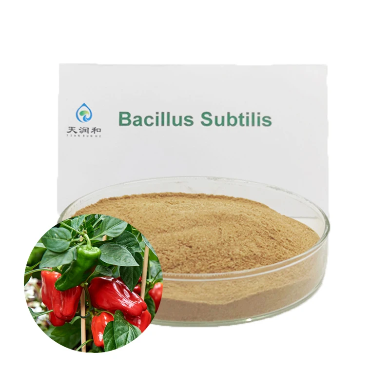 farming bacillus amyloliquefaciens bacillus subtilis for animals cattle