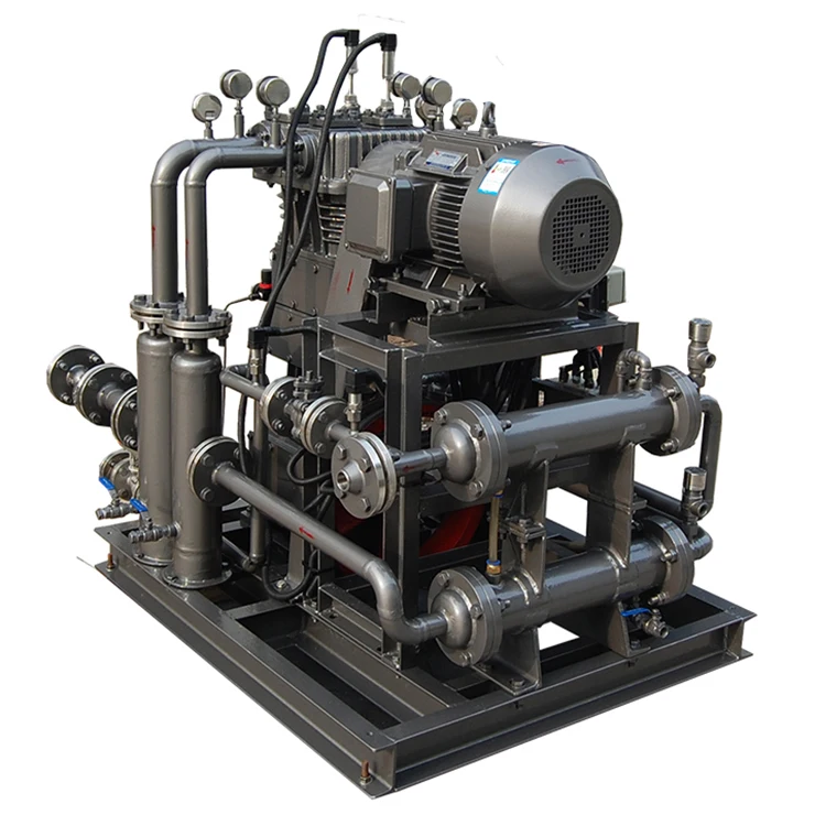 220V Industrial Oxygen Compressor with Air Filter and Motor Air Compressor Head for Various Industries