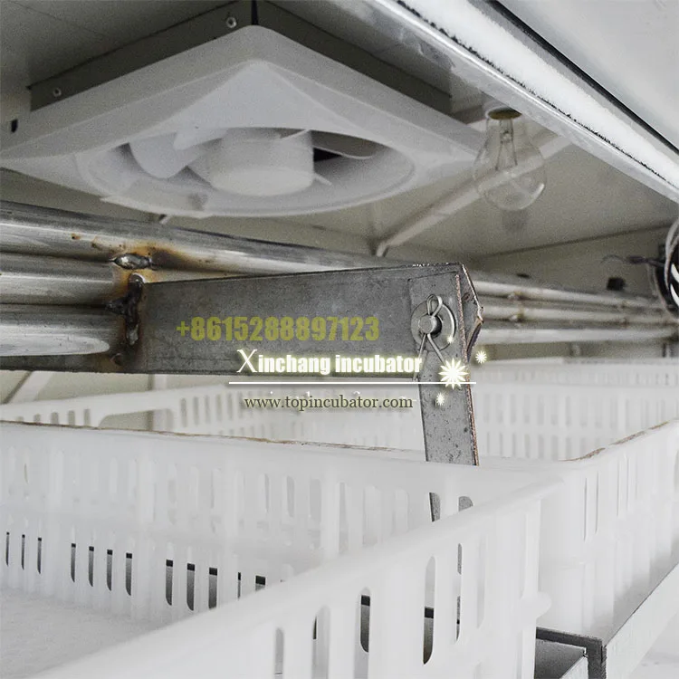 Incubators Chicken Egg Incubator 5000 Eggs Hatching Machine