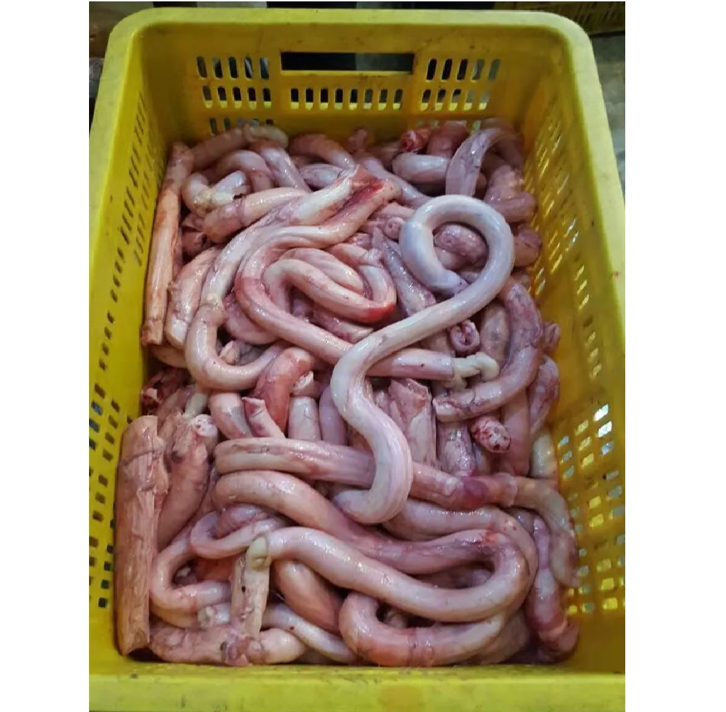 Frozen Beef Halal/Cow Frozen Parts Frozen Beef Penis From Pakistan Edible Frozen Beef Meat