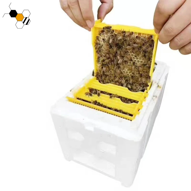 Beekeeping Tool Mini Beehive Foam Queen Rearing for Bee Mating Nuc Box Copulation