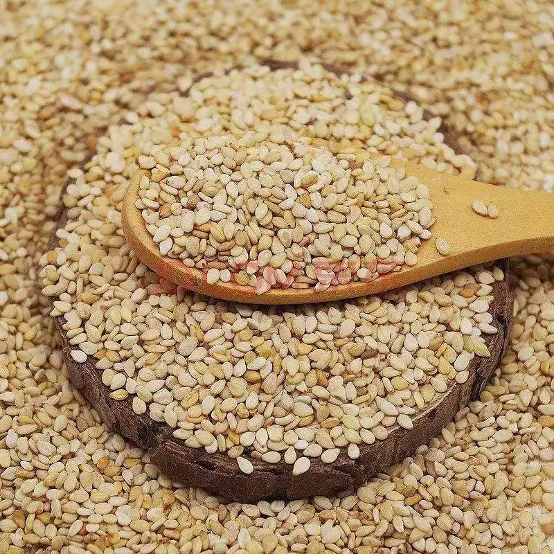 Hot Sale High Quality Household Farm Grain Unhulled Sesame Seeds Organic White Sesame