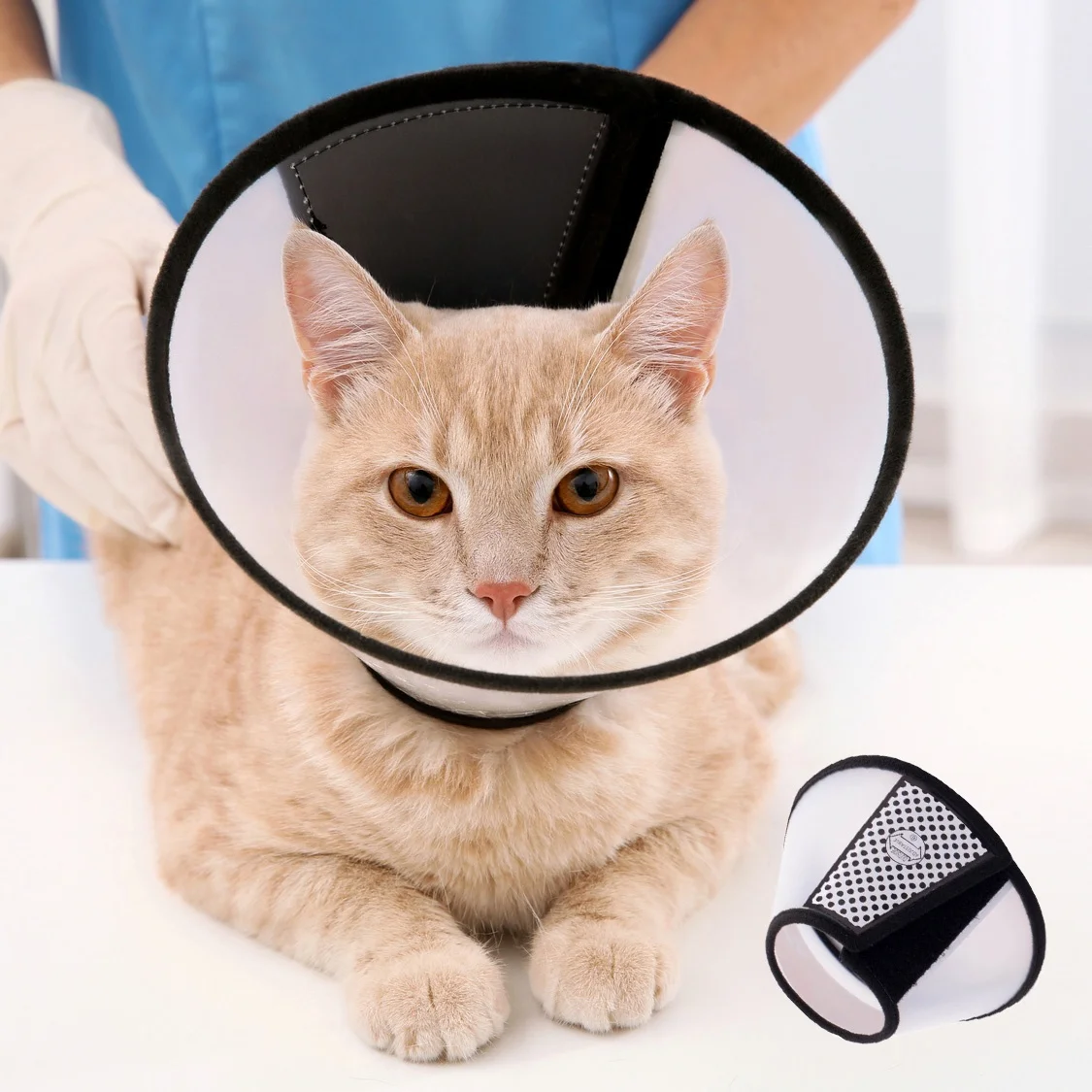 Soft Edge Plastic Dog Cone Anti-Bite Lick Wound Healing Protective Safety Practical Plastic Cat Dog Pet E Collar.