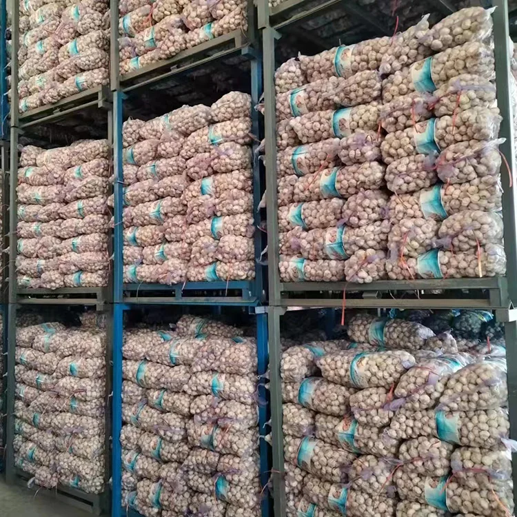 Alho Fresco for Brazil EU Africa from China garlic processing plant