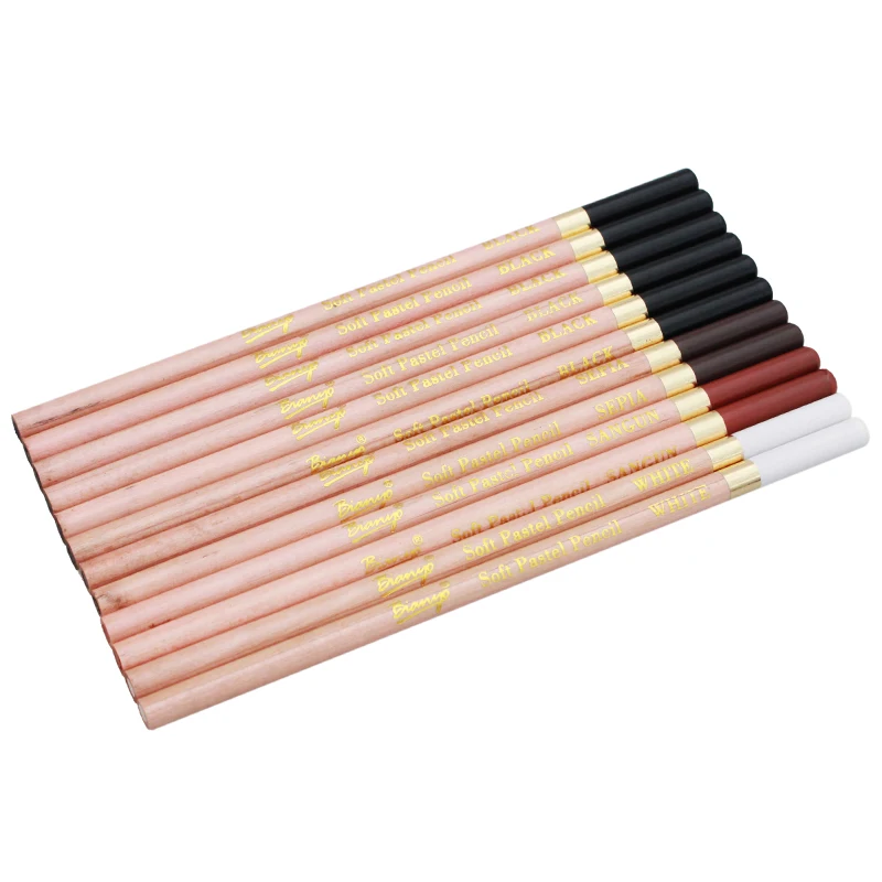Bianyo 12 Pcs/Box Artist Soft Pastel Pencils Crayon Charcoal Pencils Artiste Wooden Non toxic Pencil for Sketching Drawing