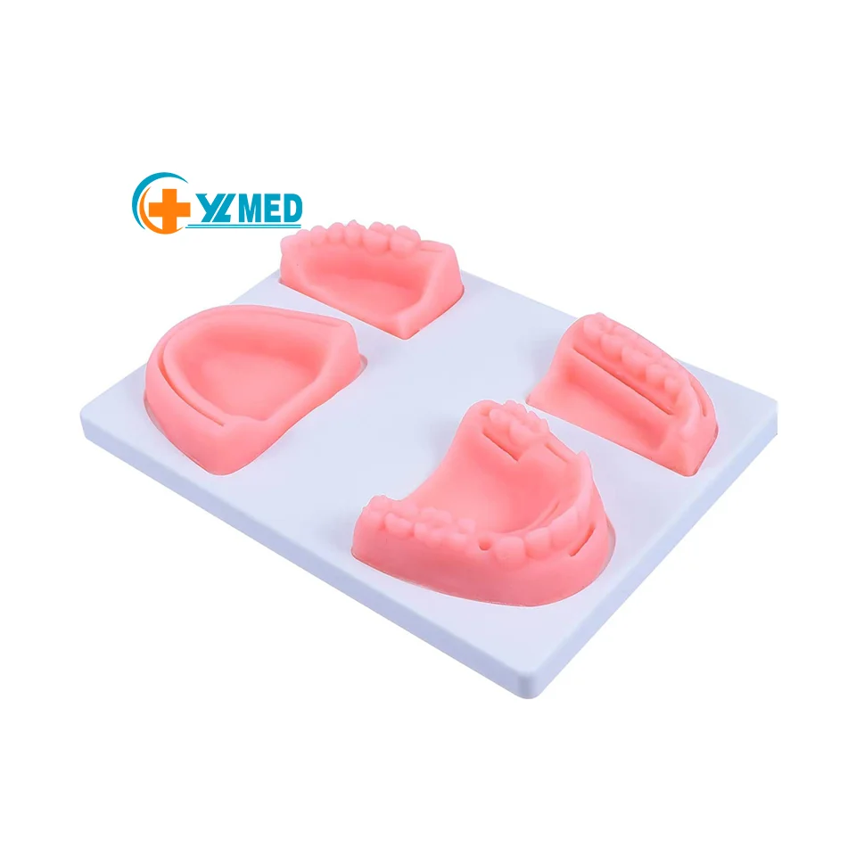 Dentistry School Surgical Simulator Pad Teeth Practice Dental Suture Model Oral School University Students Carton Manikin 230