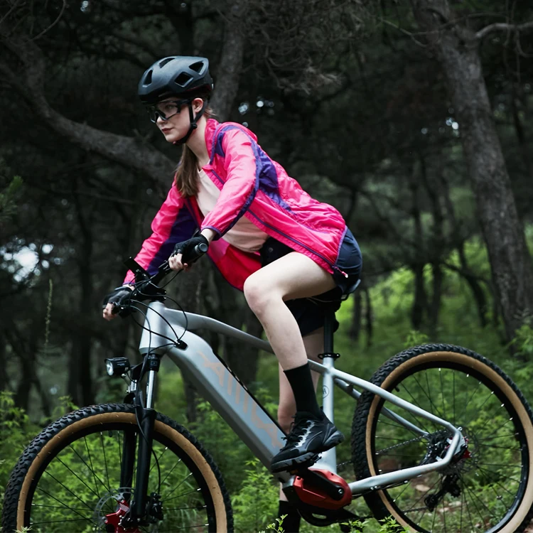 Aima MA270 250w sepeda listrik 2 wheels electric bicycles 36v other E-bike scooter electric electric city bike