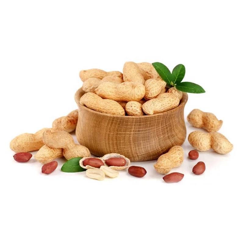 
Factory Supply High Quality Peanut in Peanut Shell And Kernel Price With Best Prices 