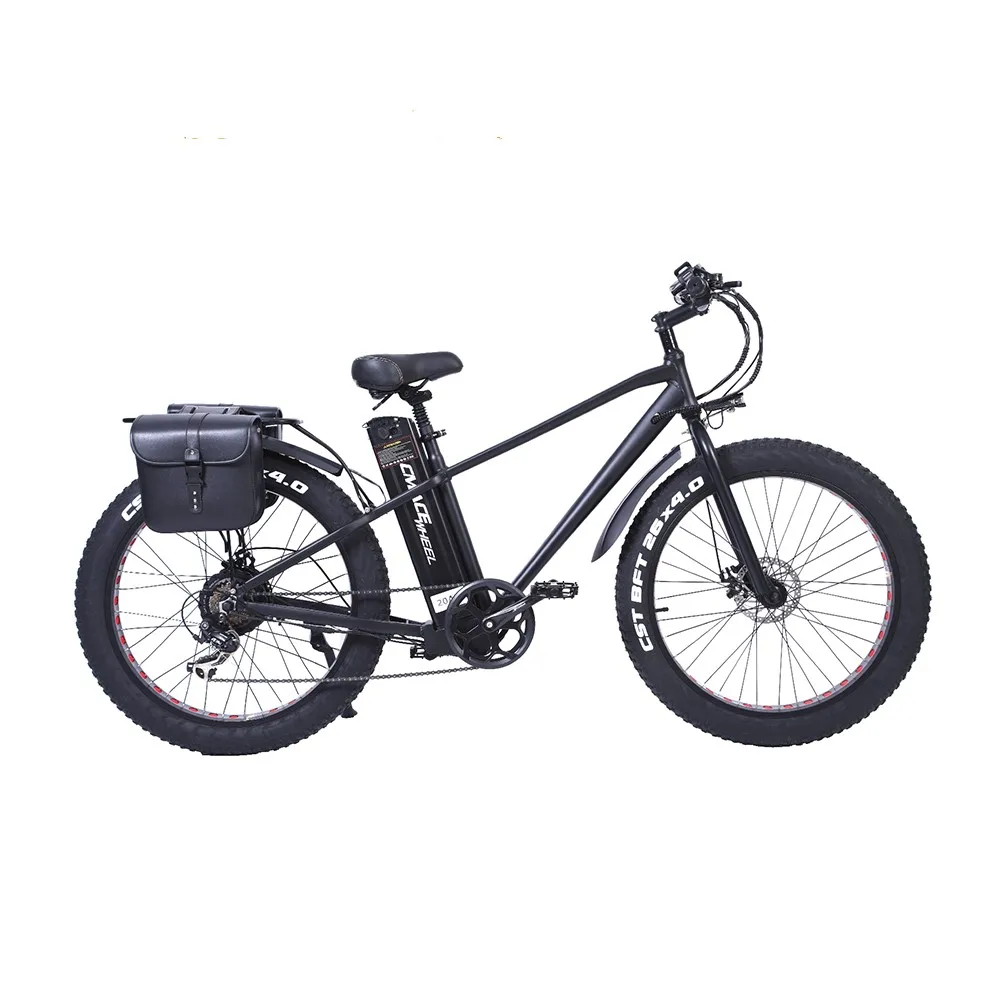 Wide Tube Two Tires Free Shipping Light Weight Manufacturer powerful Strong Off Road Electric Bicycle