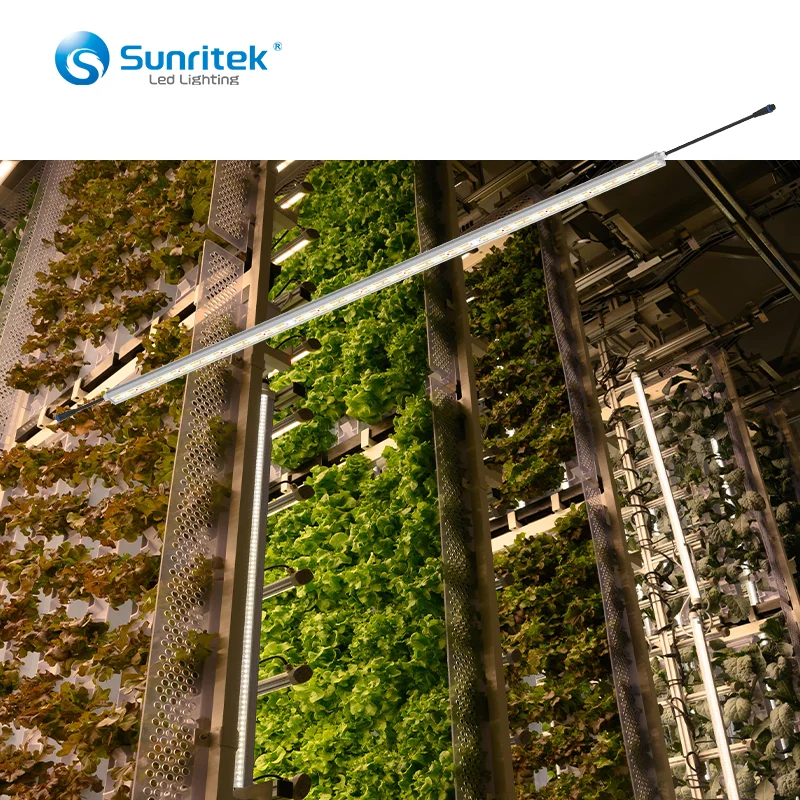 Grass/green/Bush manufacturer high efficiency hydroponic plant grow light