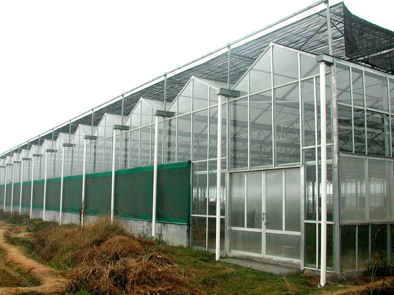 
high end flower rose/tulip growing greenhouse with exact climate control 