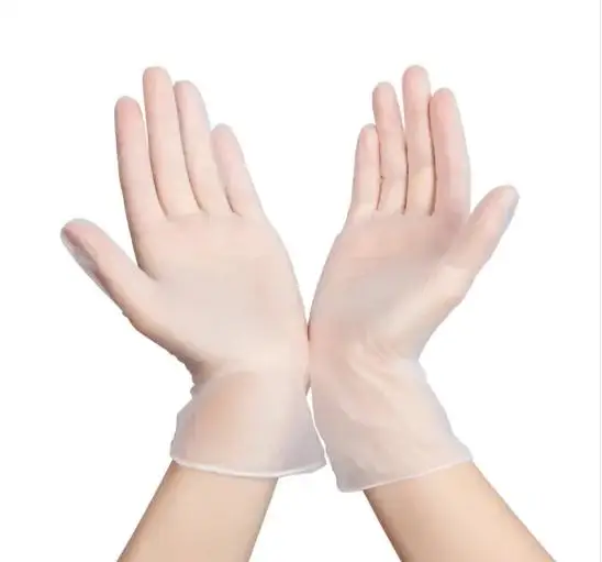 CE Certified Clear Disposable Food Processing Medical PVC/Vinyl Glove Powder Free