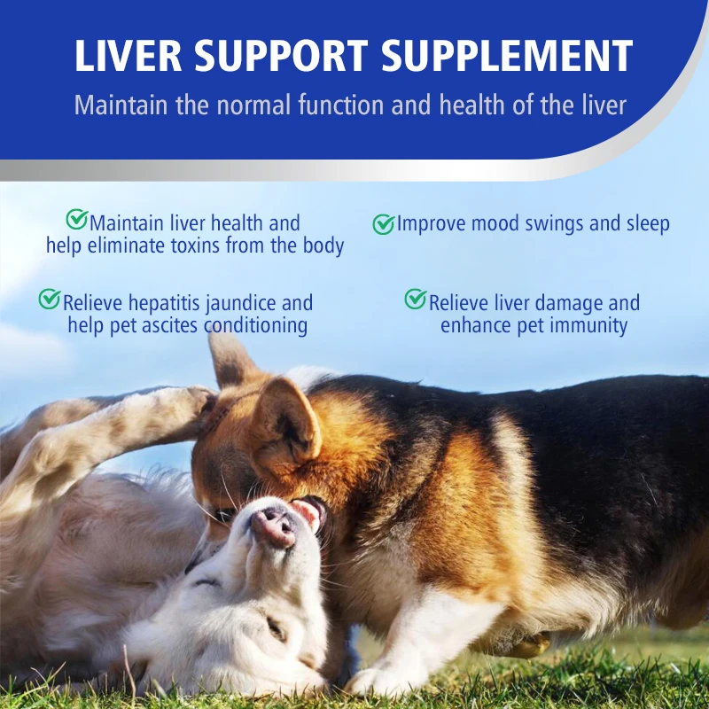 OEM&ODM Dog Liver Supplement Rich in Milk Thistle Extract, BioPerine, Turmeric Curcumin