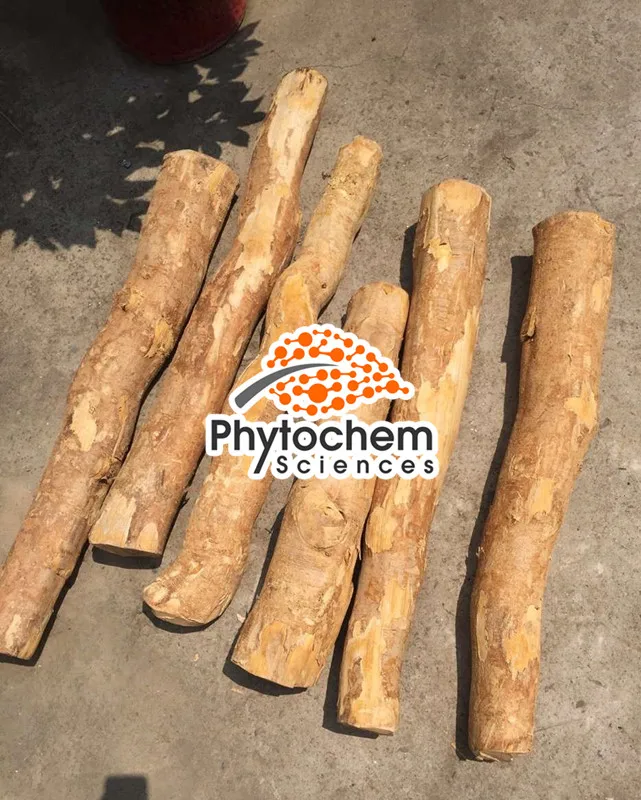 
China Supplier Supply best selling Eurycoma Longifolia Jack Root 100 to 1 Tongkat Ali Extract 