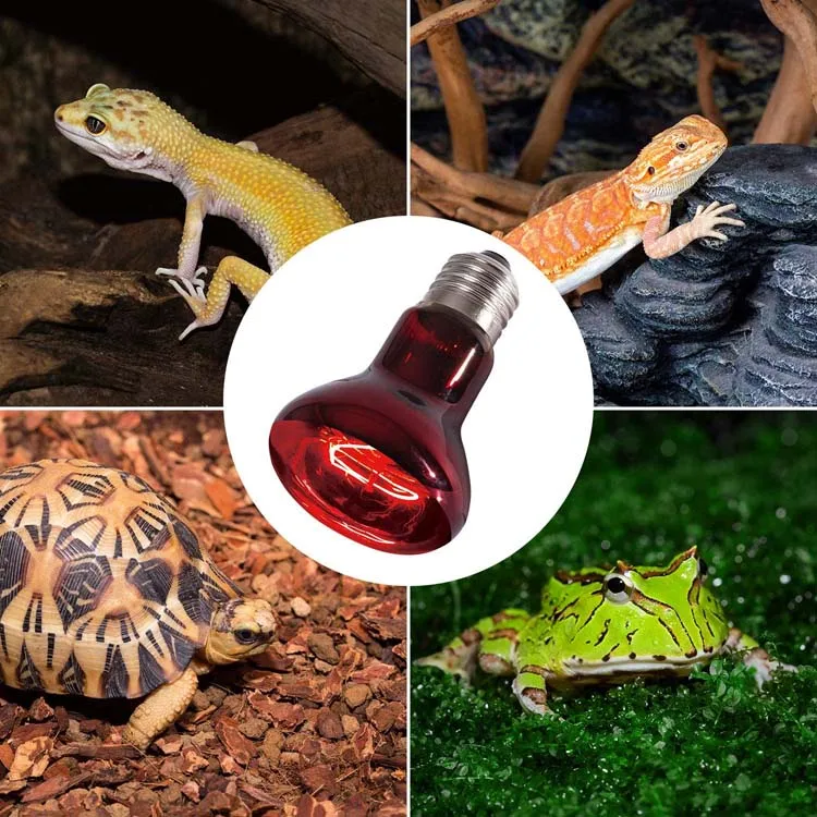 R125 Оптовая продажа животных поросят Бройлер для сна курица птичьи птицы/нагревательная лампа для домашних животных