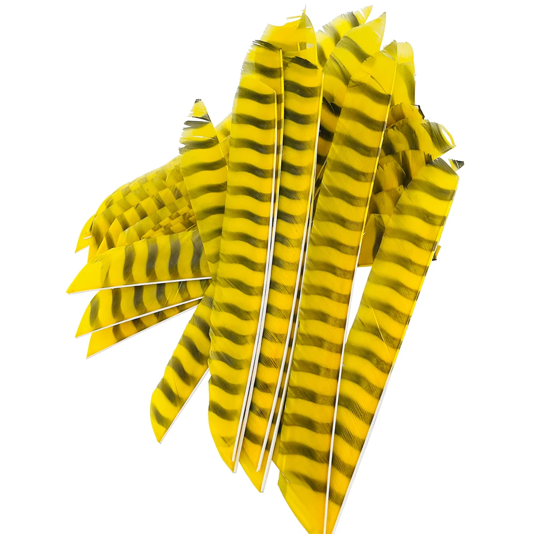 Full Length Right Wing Archery Arrow Feathers Colorful Stripe Turkey Feather Hunting and Shooting Arrow Feather DIY Outdoor