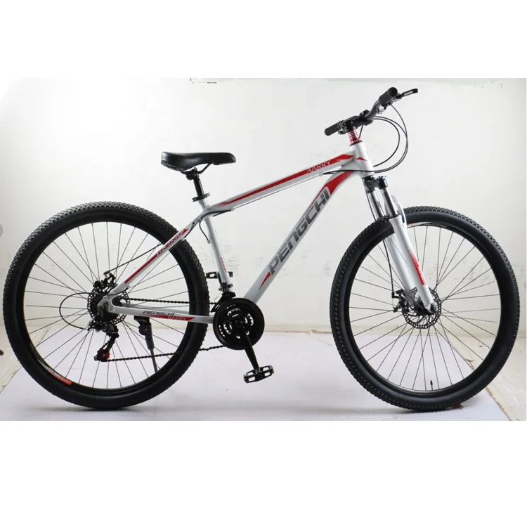 High quality 29 inch 24 speed adult OEM mountain bike suspension for both men and women Biccletas bike MTB wholesale price