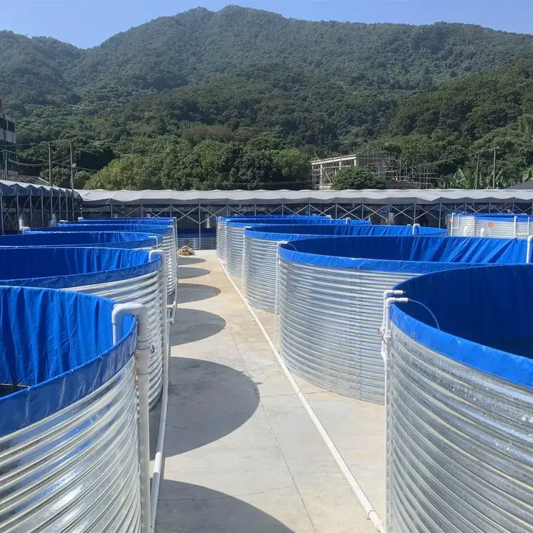 Tilapia fish pond Canvas fishpond for tilapia fish feeding farming