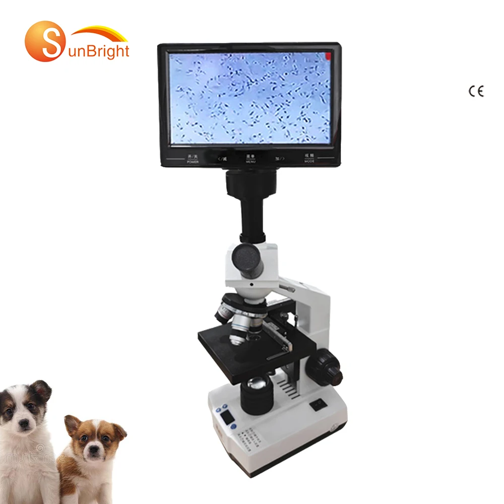 Chinese professional brand JM-Q12 high-resolution display vet microscope