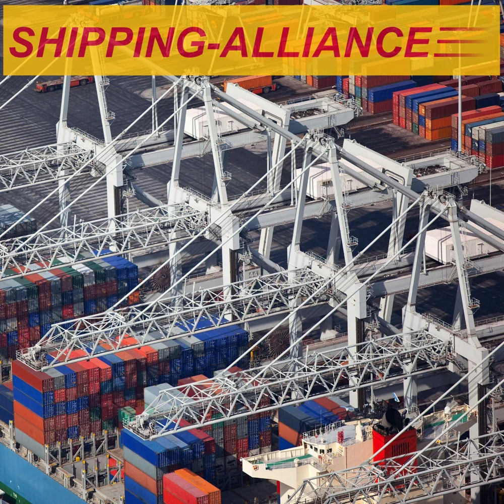 From China to Latvia By LCL FCL Shipping FOB DDP | Riga Daugavpils Liepaja