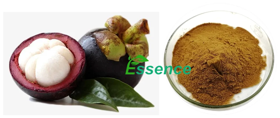 mangostana Powder.png