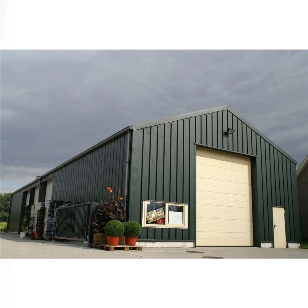 Quick Build Prefabricated Metal Building Steel Structure Workshop Steel Structure Modern Logistics Center Warehouse Detachable