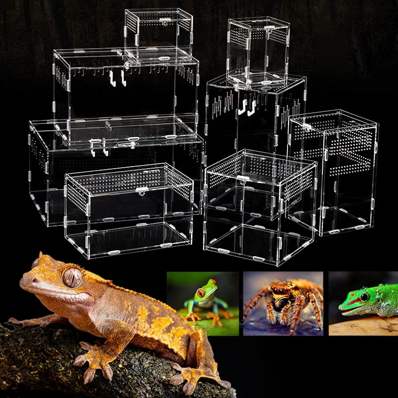 Reptile Small Plastic Feeding Box Terrarium,Reptile Travel Habitat Box For Gecko Frog Spider Snake Baby Lizard