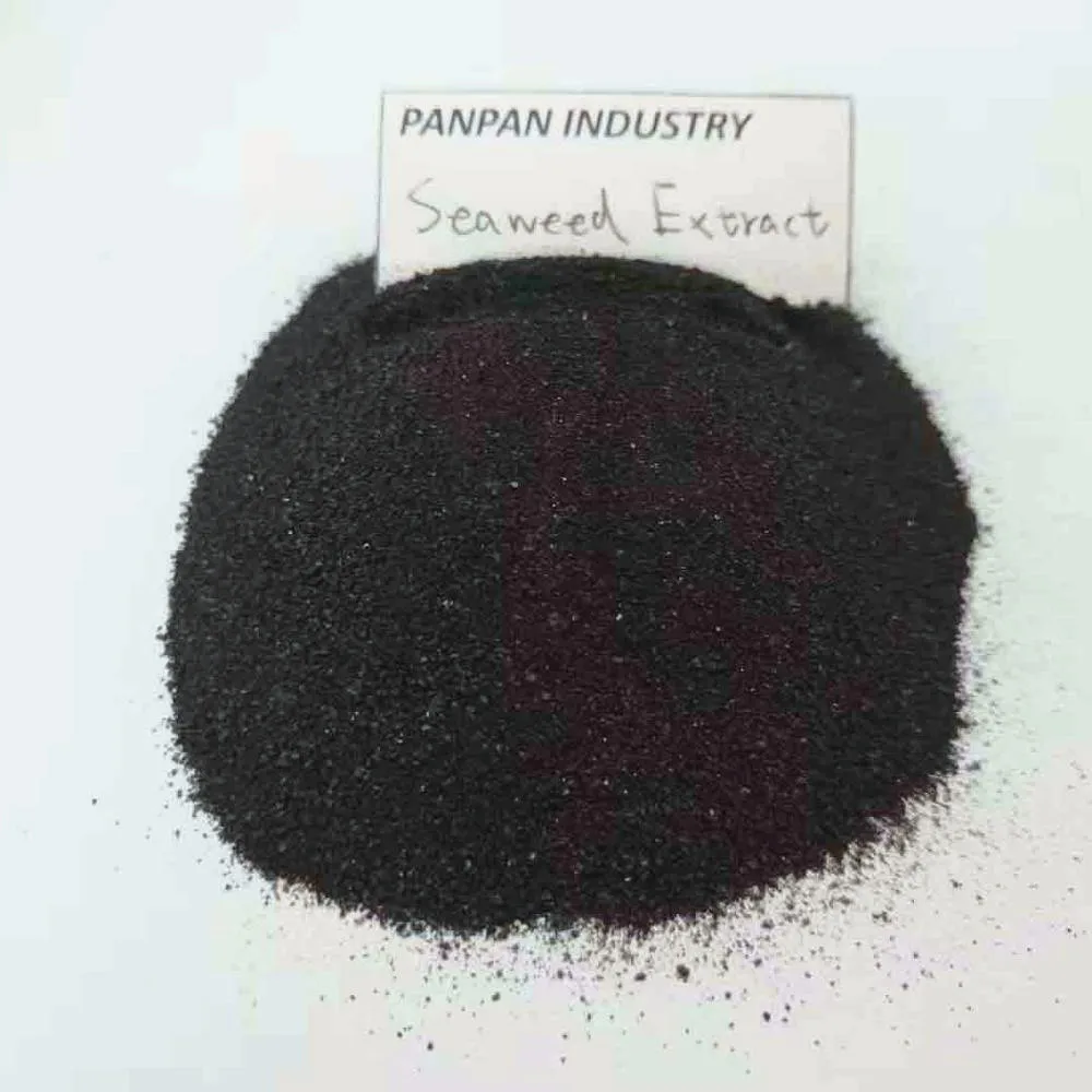 organic fertilizer seaweed extract seaweed granular fertilizer