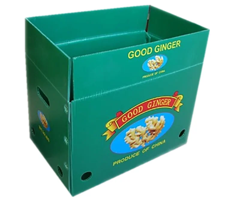 Ginger Box Ginger Plastic Box Fresh Ginger Plastic Packaging Box