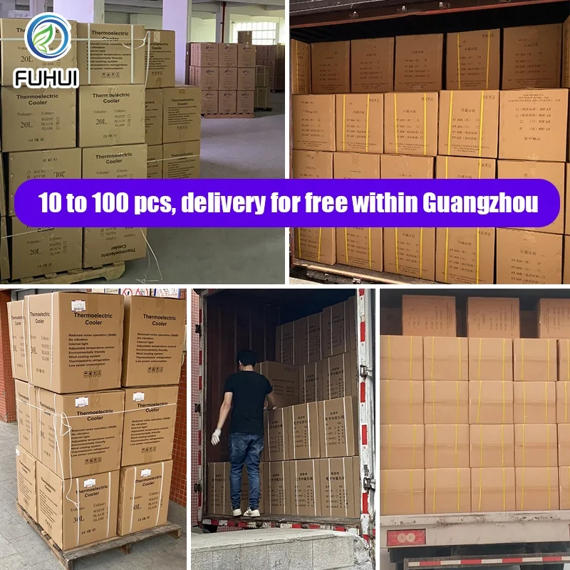 Frigobar Built in 220V Hotel Refrigerator 30L Mini Fridge With No Compressor