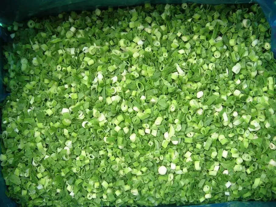 Wholesale Good Price Beat Quality  Delicious Frozen Green Spring Onion