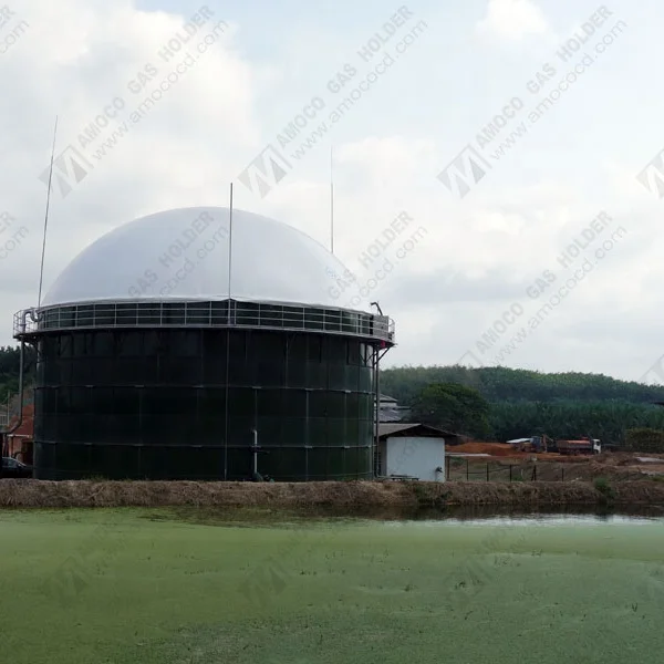 High Quality Membrane Biogas Storage Roof for Biogas Digester Tank in Turkey