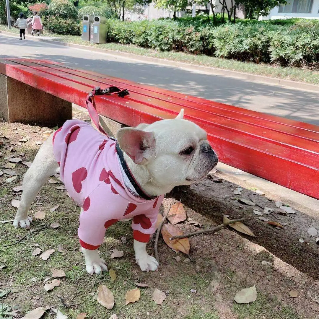 JXANRY Dog Heart Print Hoodie Autumn Winter Pet Clothes Japan Fashion Luxury Dog Coat