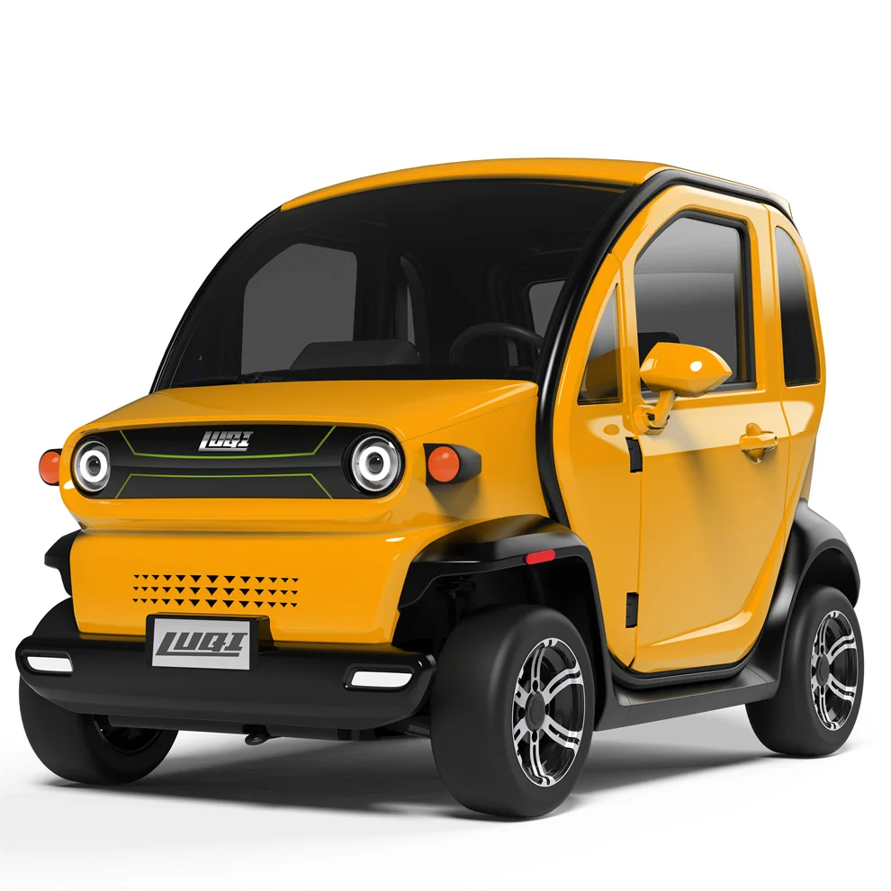 Low Speed Mini Electric Car 4x4 Van Adult