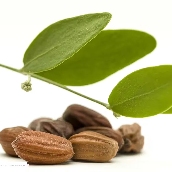 Best Cold Pressed Jojoba Oil For Dry Skin For Face Bulk